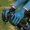 Blue, variant on Cycling Gloves Thin Long Finger Gloves Professional Men's Cycling Gloves Anti-slip
