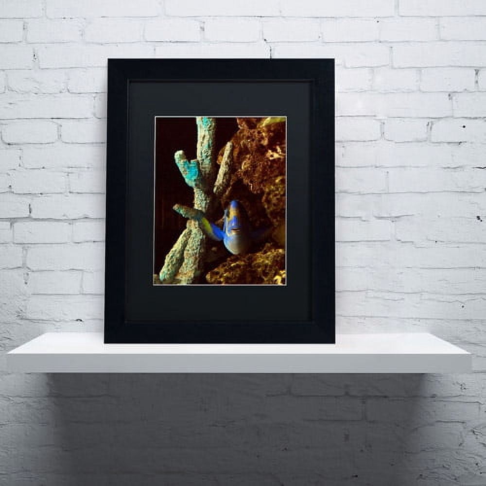 Trademark Fine Art "Fish in the Rocks" Canvas Art by Kurt Shaffer, Black Matte, Black Frame