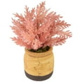 thumbnail image 3 of Northlight Artificial Astilbe Plant in a Ceramic Pot - 12" - Pink, 3 of 6