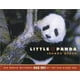 Petit Panda (le Monde Accueille Hua Mei au Zoo de San Diego) – image 1 sur 1