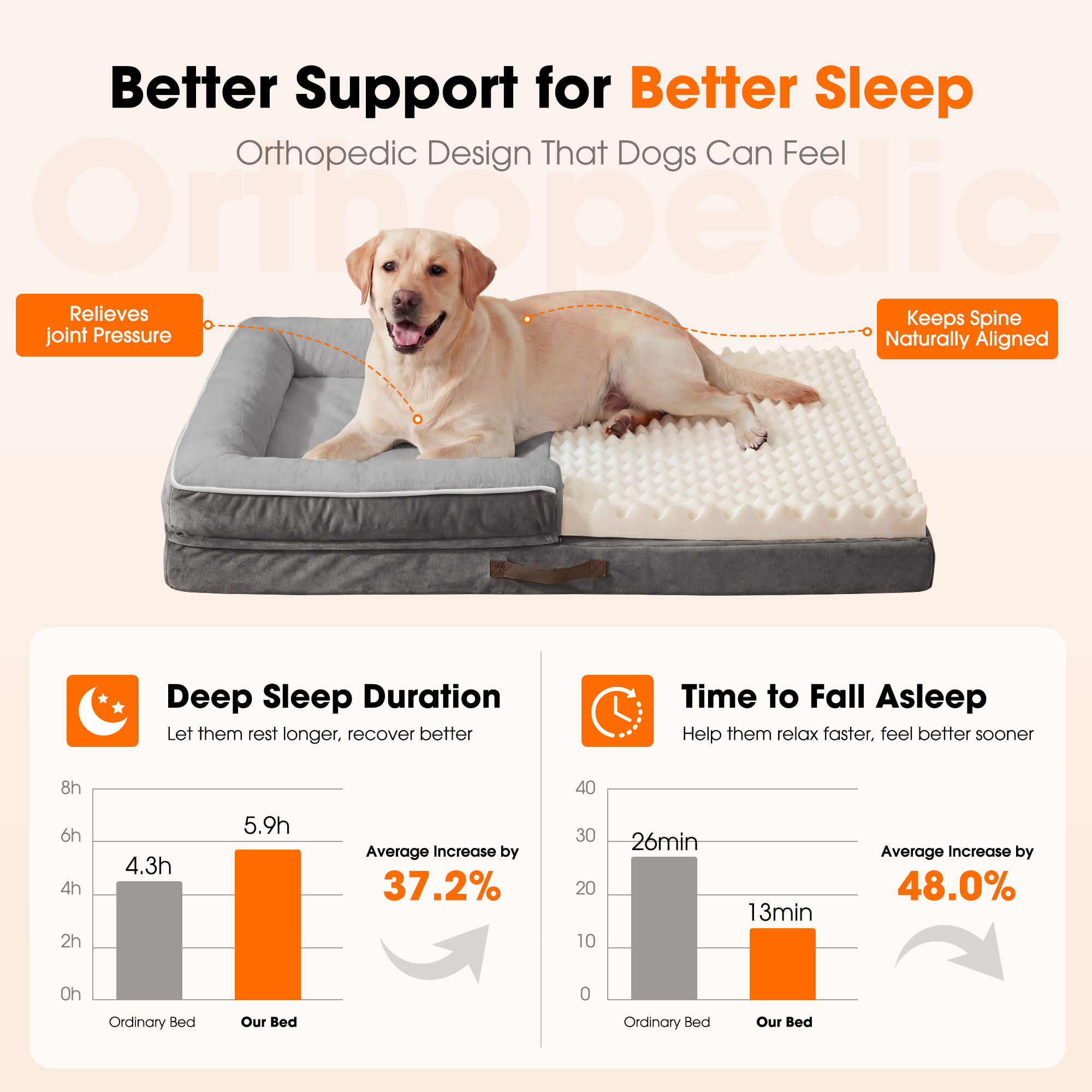 SOLESPIT Extra Large Orthopedic Dog Bed photo 2