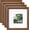 Walnut Brown, variant on 8x8 Picture Frame Made of Solid Wood with Plexiglass, Display Pictures 4x4/6x6 with Mat or 8x8 Without Mat Set of 4 for Tabletop and Wall Mounting, Walnut Brown