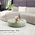 thumbnail image 3 of Ryder Faux Fur Cuddler Donut Bed, Medium, Pistachio, 3 of 5