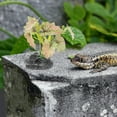 thumbnail image 4 of QUMIIRITY Planta Decorativa Para De Reptiles Y Acuarios Multicolor Con Y Fácil Instalación, 4 of 6