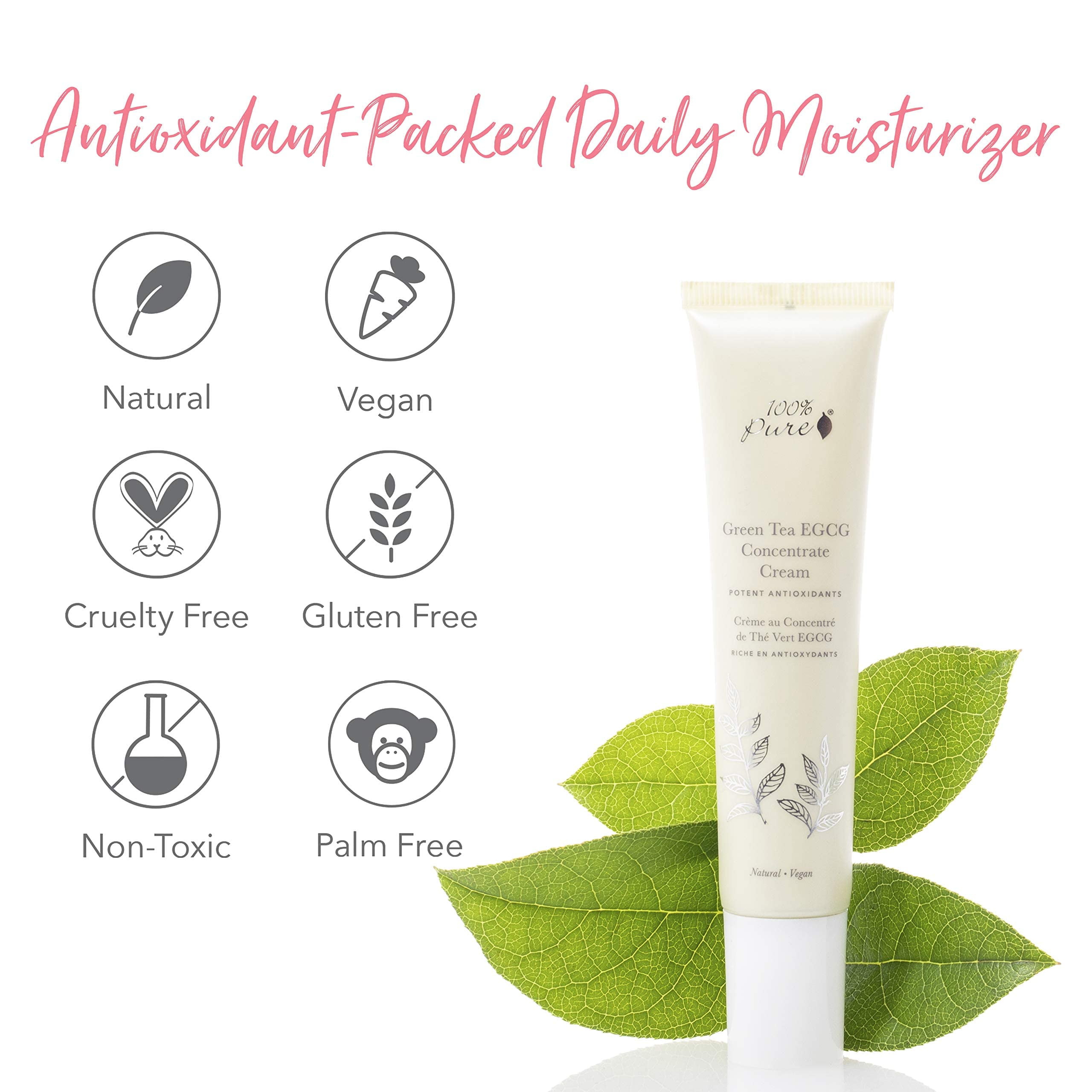 100% PURE Green Tea EGCG Concentrate Face Cream Anti-Aging Antioxidant Boost with Squalene & Caffeine Lightweight Daily Hydrating Facial Moisturizer & Skin Care for Women & Men - 1.4 Oz
