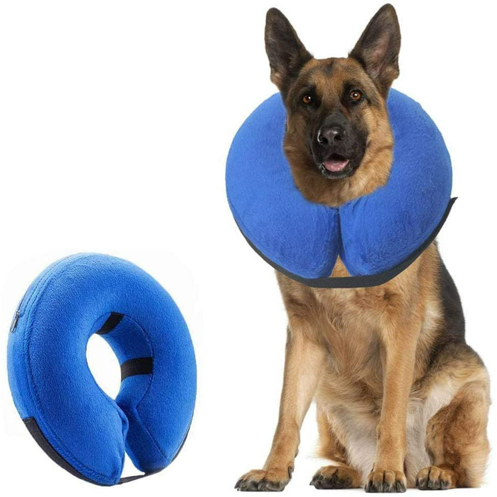 Inflatable collar for dogs after surgery online