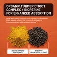 thumbnail image 5 of NatureWise Turmeric with Garlic + Ginger - BioPerine Black Pepper Extract - 4 in 1 Turmeric Supplement for Digestion & Immune Support - Extra Strength - USA Manufactured - 120 Capsules[40-Day Supply], 5 of 12