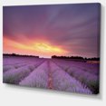 thumbnail image 2 of Beautiful Sunset over Lavender Rows - Landscape Canvas Wall Art, 2 of 3
