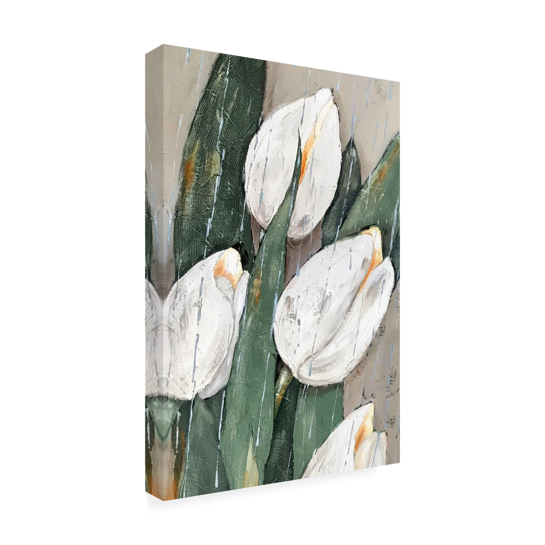 Trademark Fine Art Jade Reynolds Much Needed Rain I Canvas Wall Art
