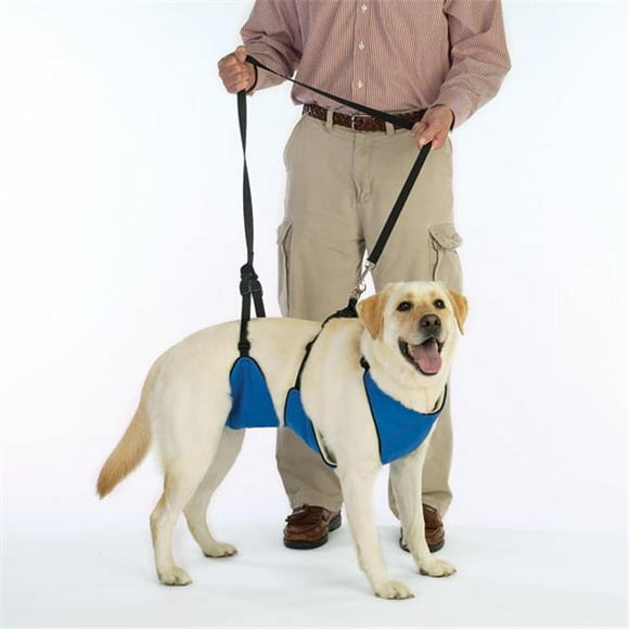 ZW477 14 19 Guardian Gear Lift & Lead 4-In-1 Sm Blue