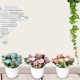 thumbnail image 3 of Gwong Decoración hogareña Matthiola artificial Floya Flowa Bonsai Jardín Hogar nupcial Bodas Decoración de la fiesta Gwong 21054766, 3 of 7