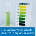 thumbnail image 2 of Desintoxicante de amoniaco API AMMO-LOCK para agua dulce/salada 473 ml, 2 of 6
