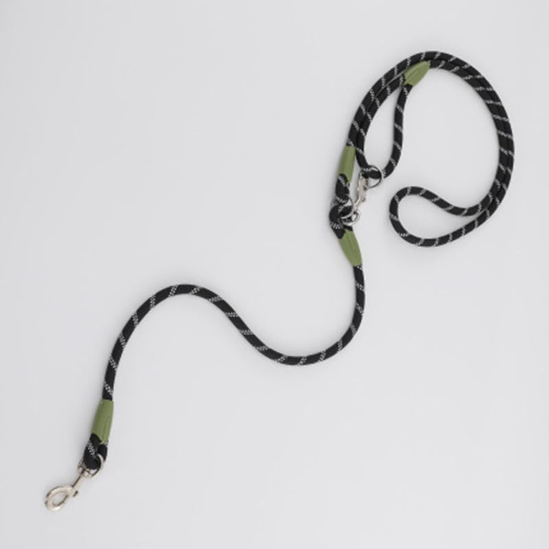 Dog leash supplies sales