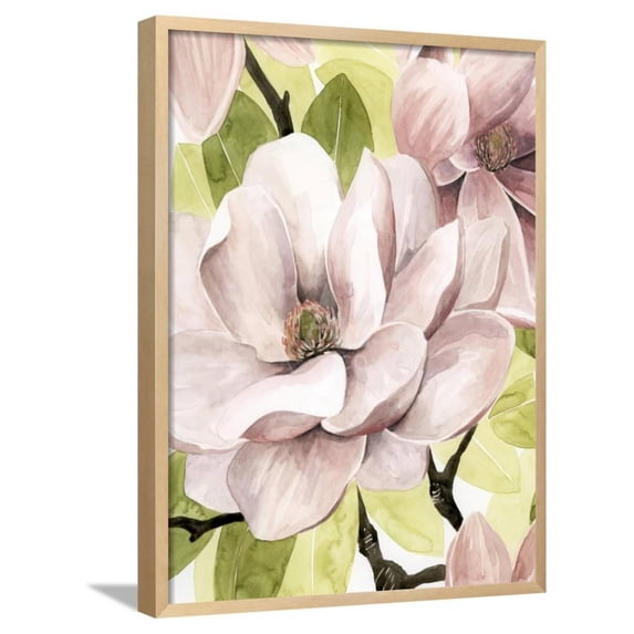Blush Magnolia II, Botanical Framed Art Print Wall Art by Grace Popp Sold by Art.Com