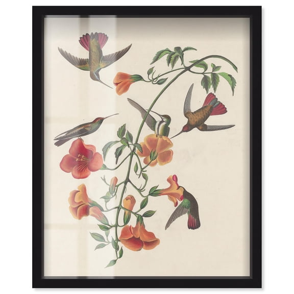 Tumult of Wings Shadowbox Print Vintage Art by Art Remedy, Black Frame, 16 x 20