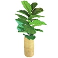 thumbnail image 4 of LCG Florals Artificial Plant, Deluxe Green Fig Plant, 4.33 ft, Cylinder Basket, 4 of 6