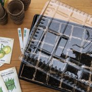 Plantation Products Planting Tray 1 pk