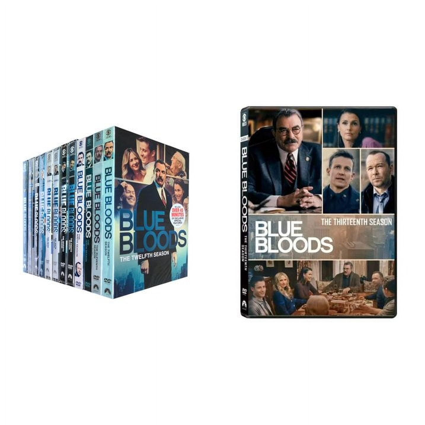Blue Bloods Complete Series DVD Set: Seasons 1-13, NYPD Reagan