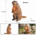 thumbnail image 1 of Oenux Wild Animals Simulation Rodent Marmot Mouse Model Squirrel Rat Chinchilla Action Figure Figurine Collection Cute Kid Toy, 1 of 10
