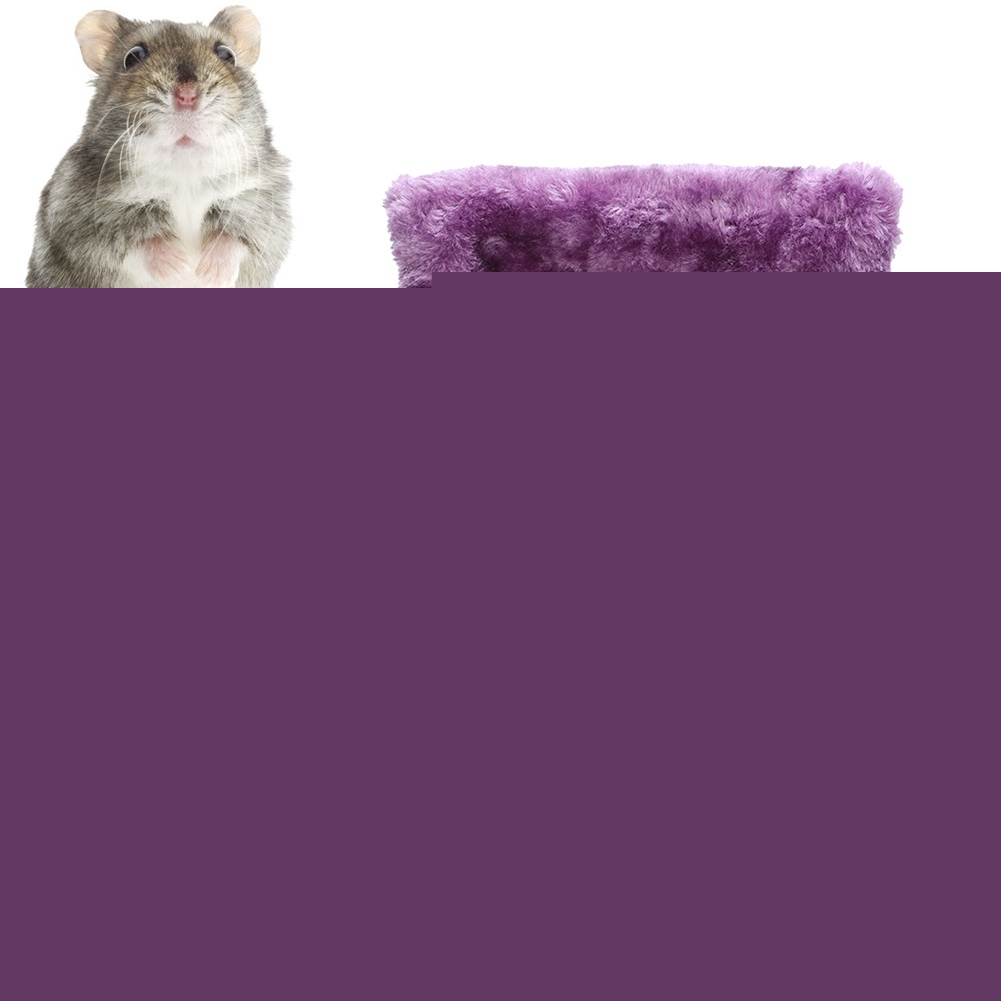 Épaissir Hamster, Lit de Hamster, Matériau pour Hamster Écureuil m