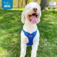 thumbnail image 6 of Voyager Step-in Fully Adjustable Mesh Dog Harness by Best Pet Supplies - Baby Blue, X-Large, 6 of 6
