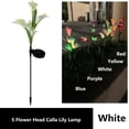 thumbnail image 1 of Fiudx Luz de Jardín de 5 Led, Diseño de Flores Artificiales, Construcción de Acero Inoxidable de Pvc, Control Automático de Luz, Energía Solar, Impermeable para Todas Las Estaciones, Decoración Exter, 1 of 2