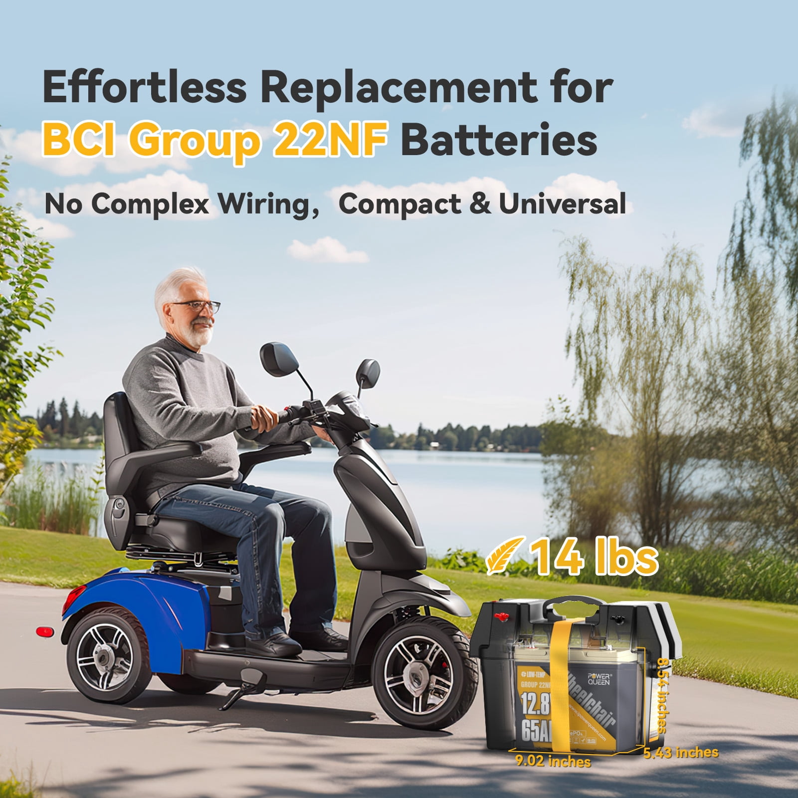 Power Queen 12V 65Ah Group 22NF LiFePO4 Lithium Battery 832Wh for Wheel Chair,Trolling Motor,Camping,Mobility Scooter
