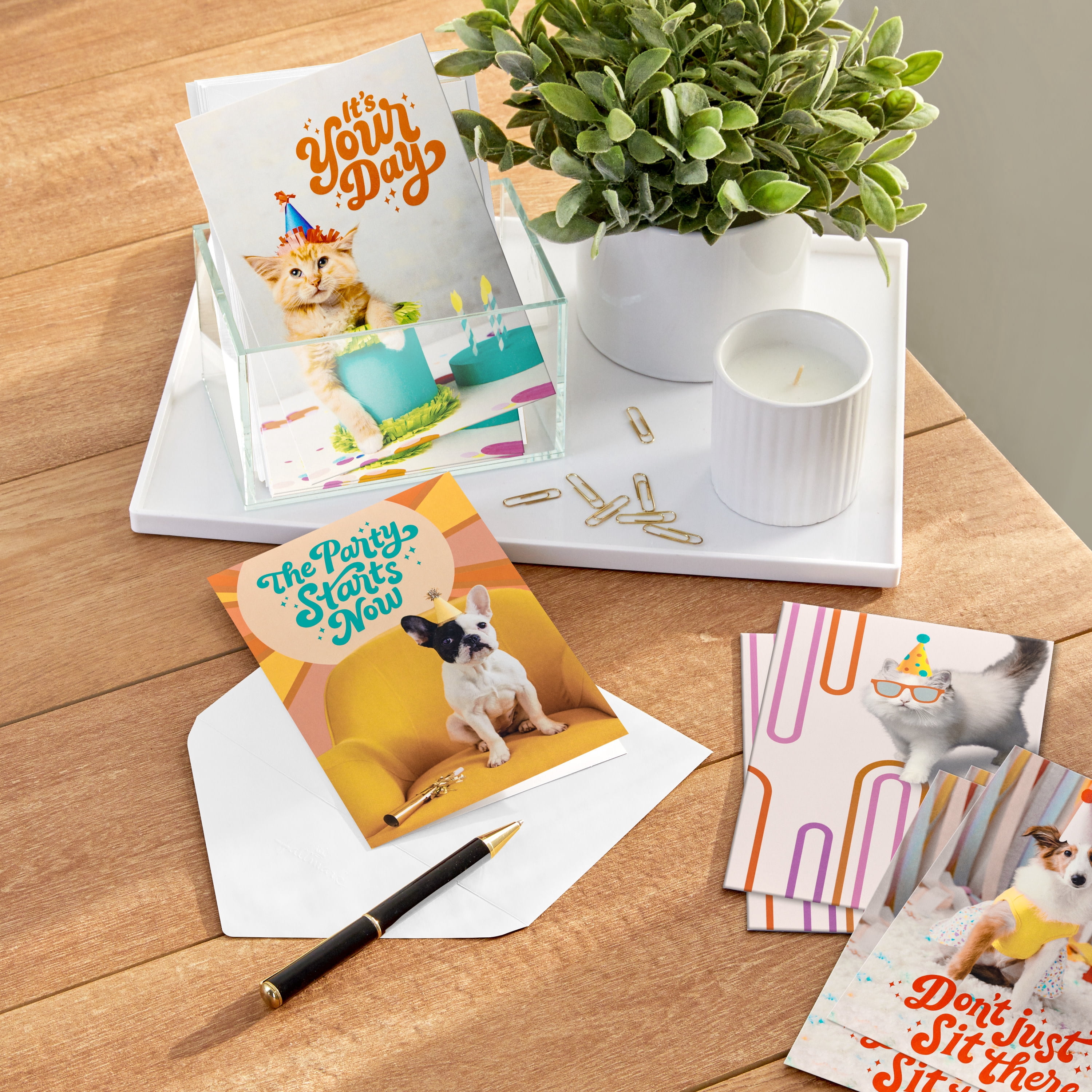 Hallmark Birthday Cards (Party Pets), 12 Count