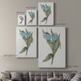 thumbnail image 4 of Blue Tulip Picks II Premium Gallery Wrapped Canvas - Ready to Hang, 4 of 9