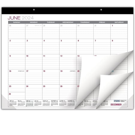 Global Printed Products Professional Desk Calendar 2025: Monthly Pages - 22"x17" - Runs Through June 2024 - December 2025 (Black)
