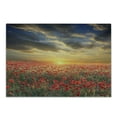 thumbnail image 1 of Flower Cutting Board, Poppy Field Sunset Sky Evening View Golden Yellow Sun Rays Dark Clouds Graphic Art, Decorative Tempered Glass Cutting and Serving Board, Small Size, Multicolor, by Ambesonne, 1 of 1