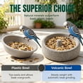 thumbnail image 6 of Pumice Stone Bird Feeder, Portable Stable Wear Resistant Dish, Natural Pumice Bird Feeder, Water Bowl for Food, Pellets or Water, 6 of 9