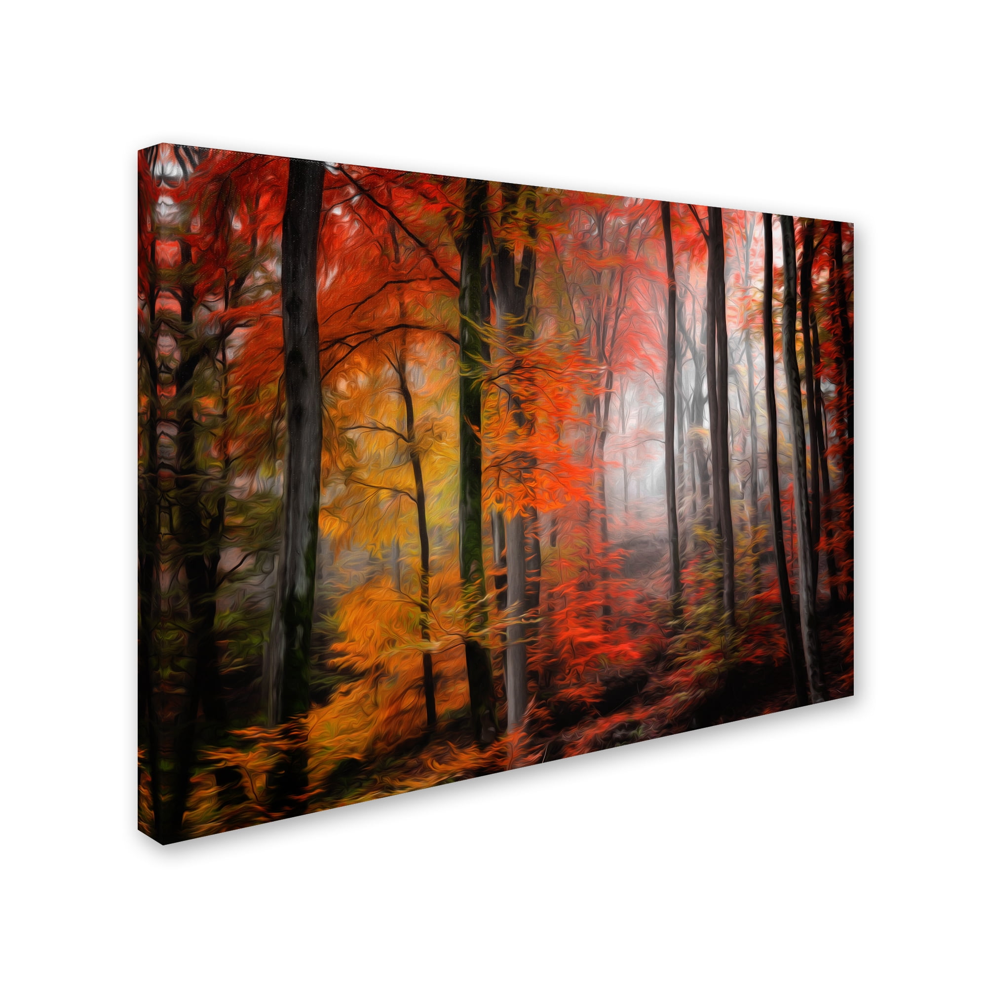 Trademark Fine Art "Wildly Red" Canvas Art by Philippe Sainte-Laudy
