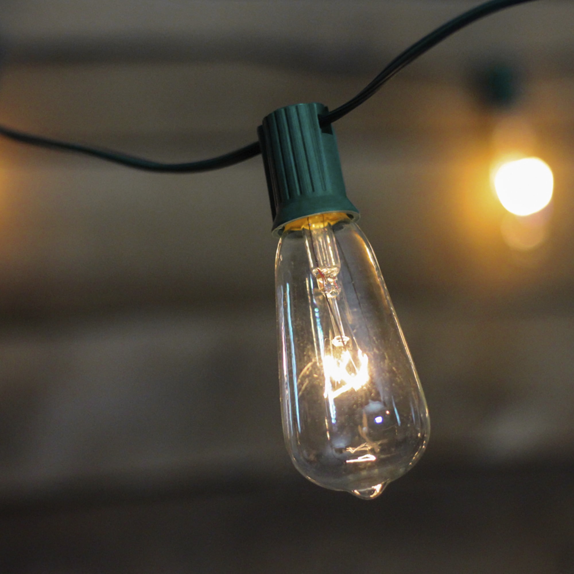 Northlight Edison Style ST40 Indoor Outdoor Patio Lights - Clear - 9' Green Wire - 10ct