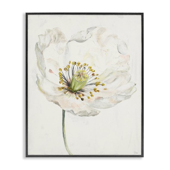 Stupell Industries Traditional Delicate Beauty White Flower Black Framed Giclee Art, 24 x 30, by Patricia Pinto