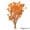 Light Champagne, variant on Uniquewise 20-Pcs Natural Dried Billy Ball Flowers Craspedia Bouquet for Home Party & Wedding Décor Real Buttons for Tall Vases Floral Arrangements DIY Crafts Centerpieces & Wreath Accents, Off White