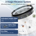 thumbnail image 2 of Paquete de 2 filtros HEPA compatibles con Dyson Pure Hot Cool Link, 2 of 9