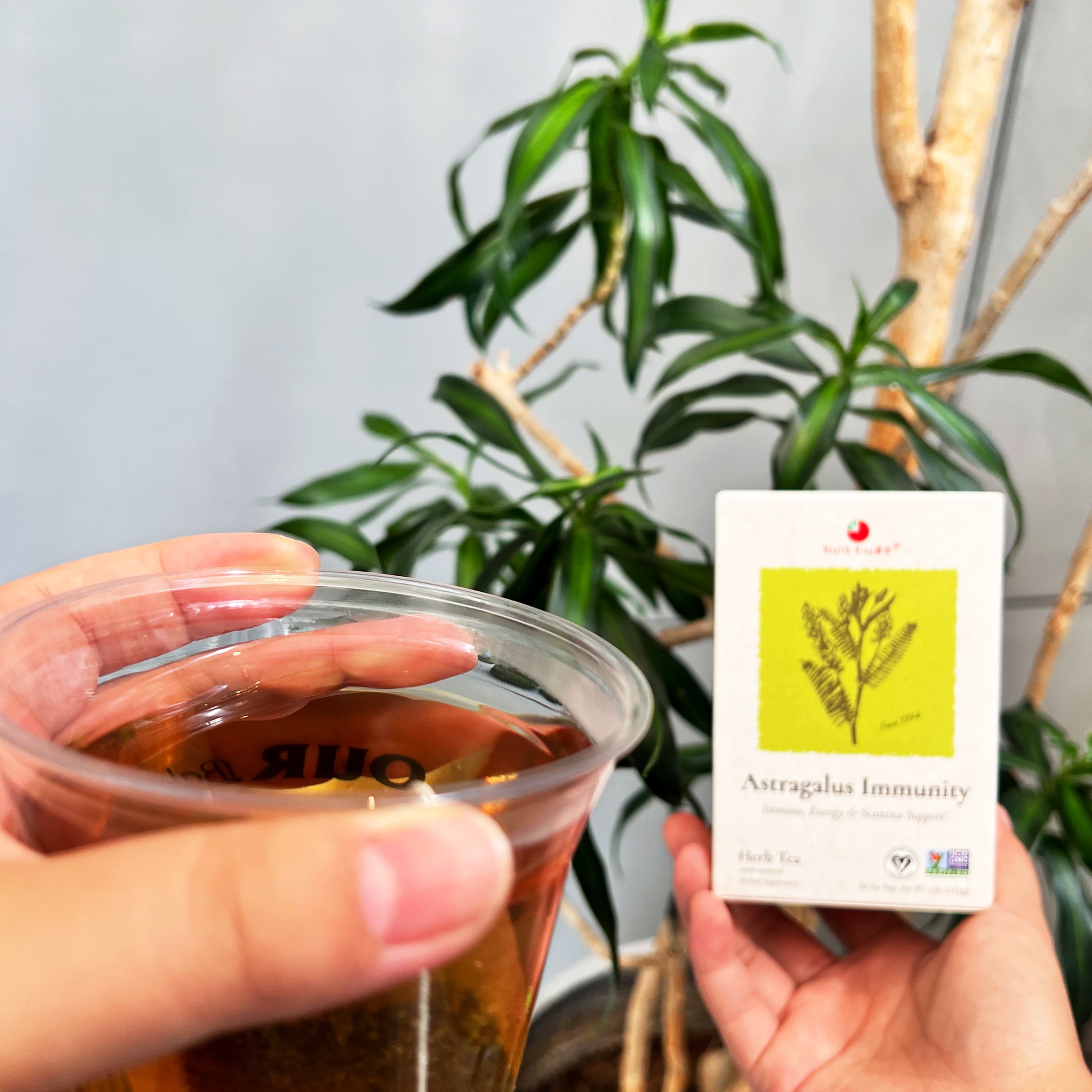 Heatlh King Astragalus Immunity Herb Tea, Tea Bags, 20 Count - Walmart.com