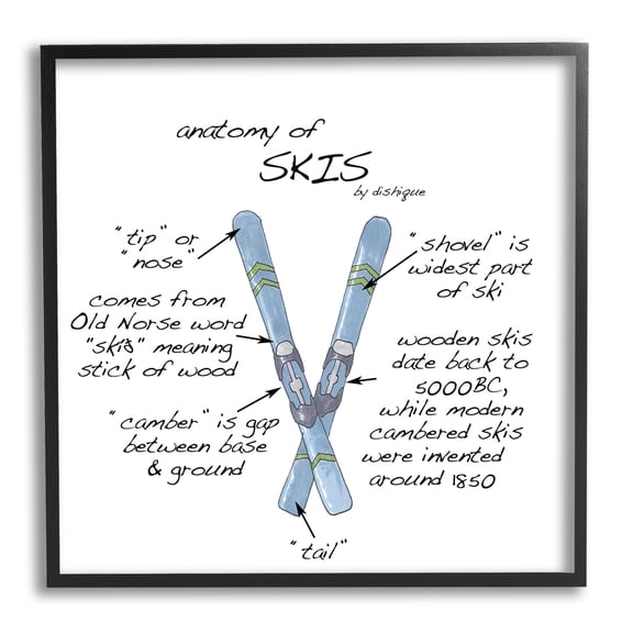 Stupell Industries Anatomy of Skis Winter Sports Diagram Facts Chart Graphic Art Black Framed Art Print Wall Art, Design by Dishique