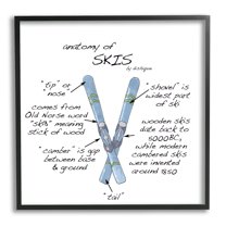Stupell Industries Anatomy of Skis Winter Sports Diagram Facts Chart Graphic Art Black Framed Art Print Wall Art, Design by Dishique