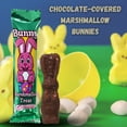 thumbnail image 6 of Chocolatey-Covered Marshmallow Bunnies Candy, 5-ct. Packs Easter Egg Hunt Bag Basket Fillers Treats Birthday Sweets Party Favors Dessert Chocolate Gift Set of 2, 6 of 7