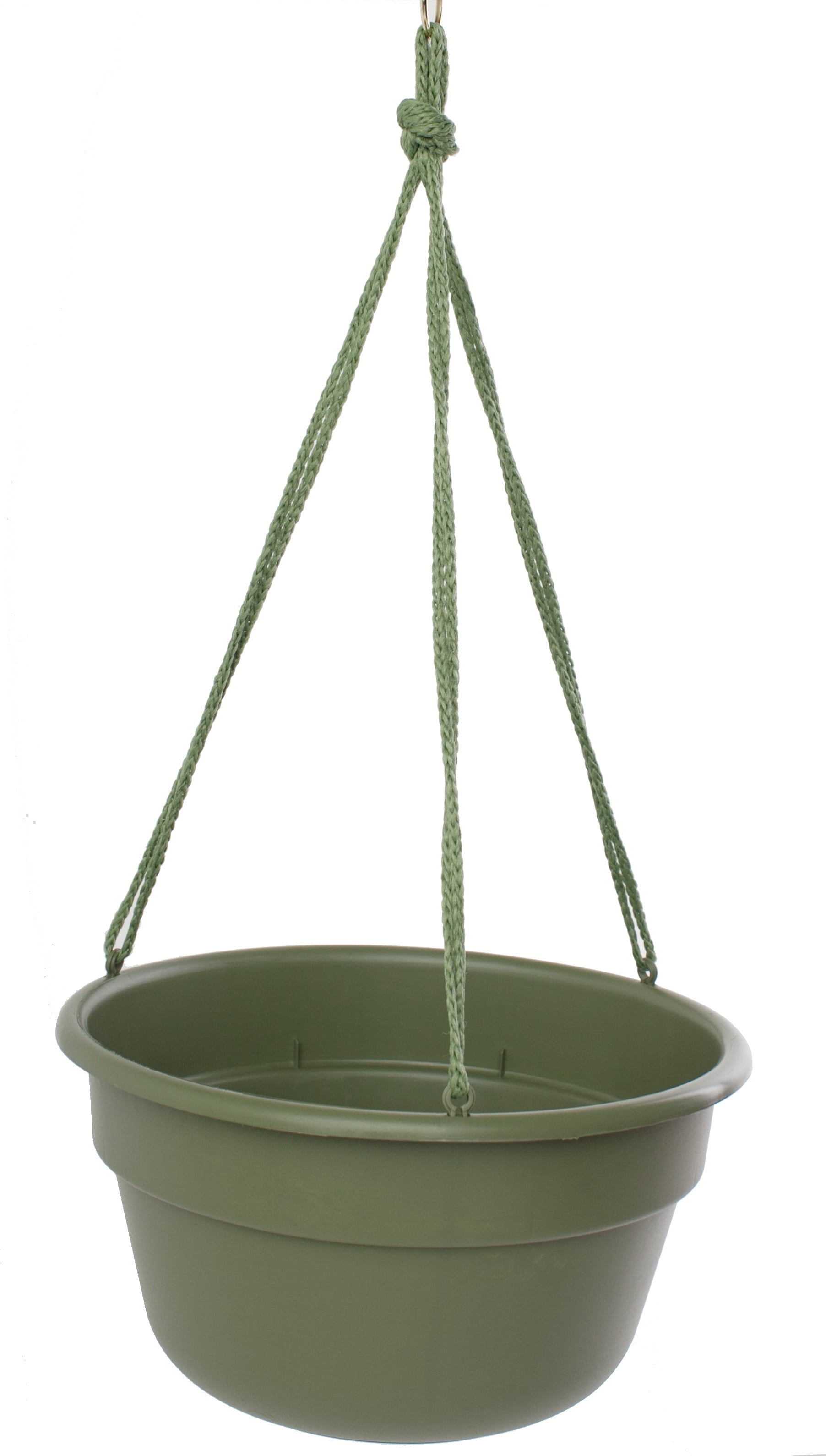 Bloem Dura Cotta Hanging Basket 12" Living Green