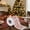 B, variant on Honeeladyy Christmas Toilet Paper Roll Fun Santa Toilet Paper Roll Holiday Novelty Toilet Paper Xmas Bathroom Tissue Paper Decoration Christmas Cute Gag Gifts, 3.94 x 3.74 in
