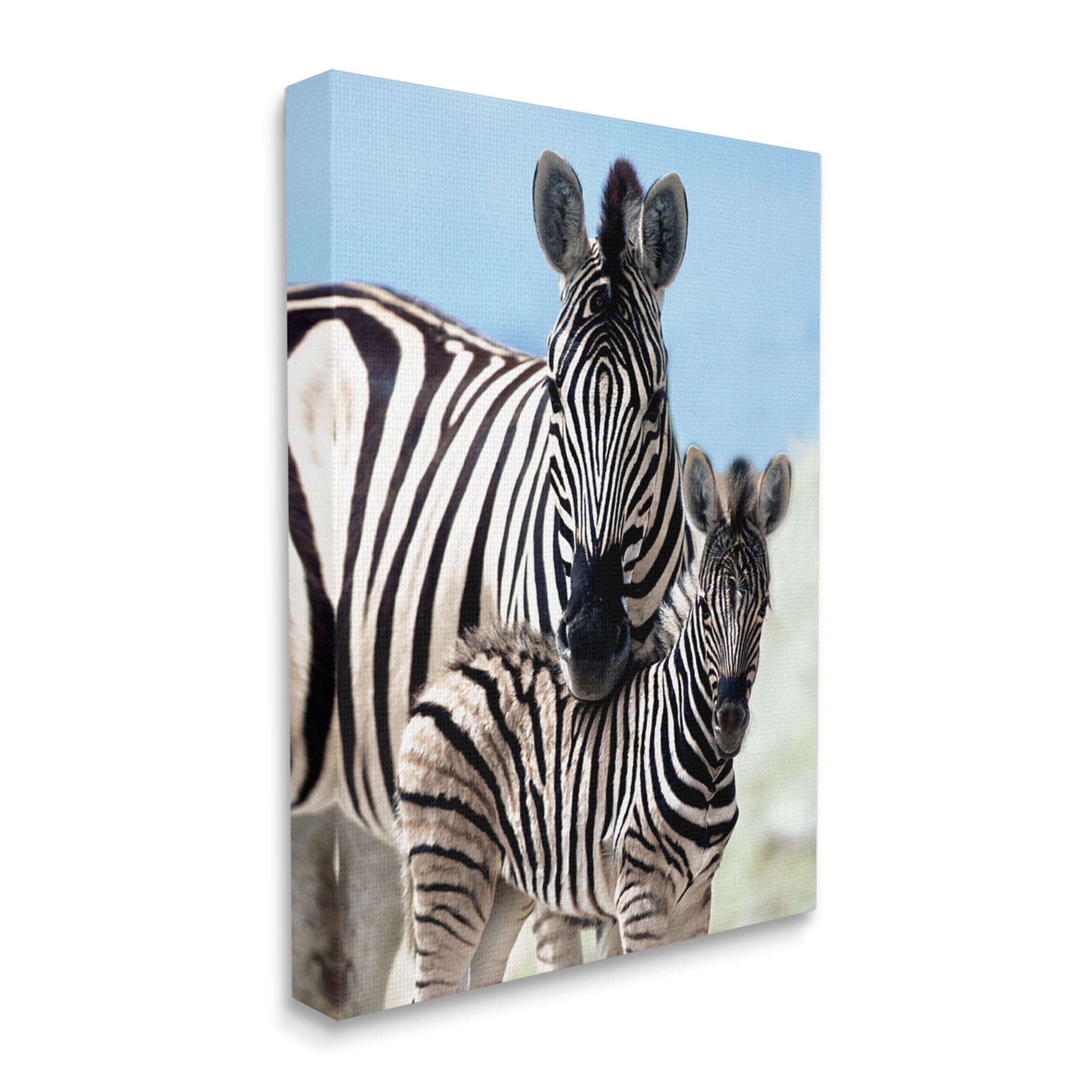 Stupell Industries Uplifting Zebra Family Mother Child Savanna Animals Photograph Gallery Wrapped Canvas Print Wall Art, Design by Danita Delimont