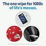 Clorox Disinfecting Cleaning Wipes, Variety Pack, 5 ct., 425 wipes