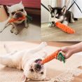 thumbnail image 4 of 1pc Carrot Design Durable Pet Chew Toy for Dogs - Teeth Grinding and Knot Rope Chew Toy for Fun and Healthy Play, 4 of 6