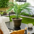 thumbnail image 5 of HC Companies Sierra 10 Inch Garden Planter Pot, Celtic Bronze (2 Pack), 5 of 11