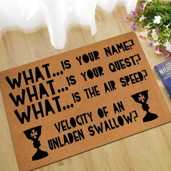 What is Your Name What is Your Quest Mats for Front Door Entry Front Porch Doormat Non-Slip Carpet Rugs Floor Mat Decorative for Home Bathroom Kitchen Indoor 16x24 Inch