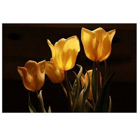 Trademark Fine Art "Yellow Tulips VIII" Canvas Art by Martha Guerra, 16x24
