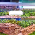 thumbnail image 4 of Aquarium Magnetic Strong Cleaner Brush Fish Tank Algae Magnet Cleaning Tool With Scrapers Floating Cleaner Scrubber Brush, 4 of 9